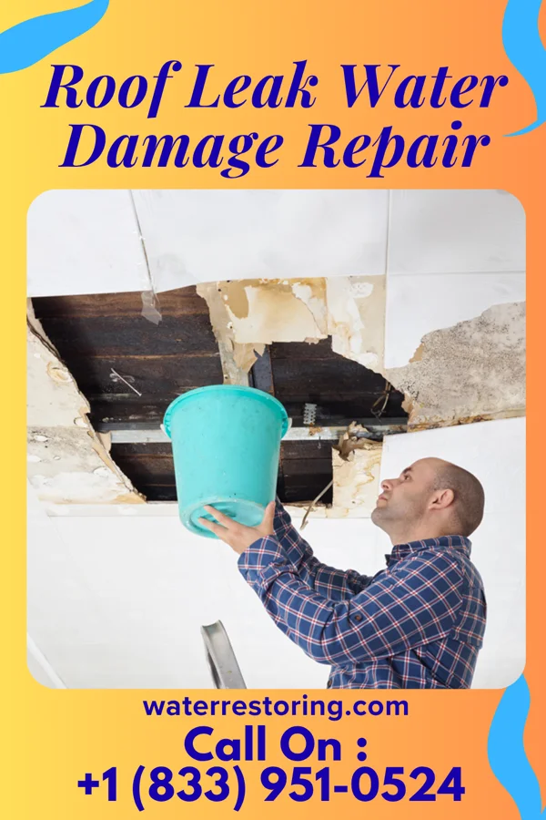 Roof Leak Water Damage Repair in Mercer Island, WA