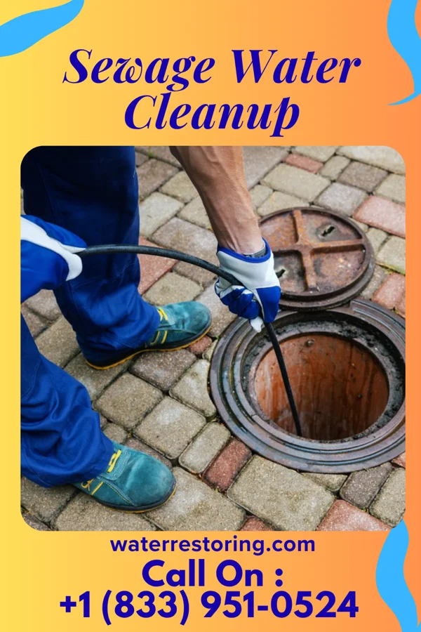 Sewage Water Cleanup in Mercer Island, WA