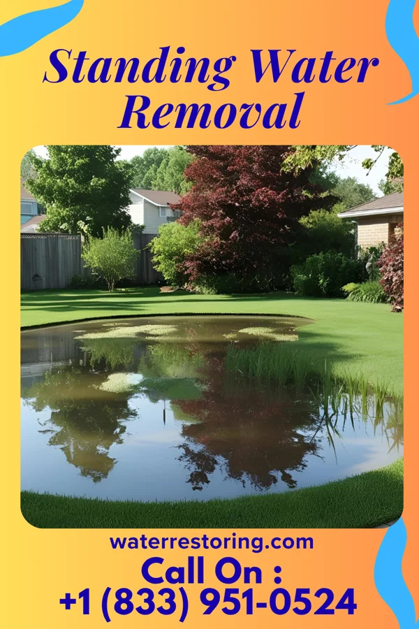 Standing Water Removal in Mercer Island, WA